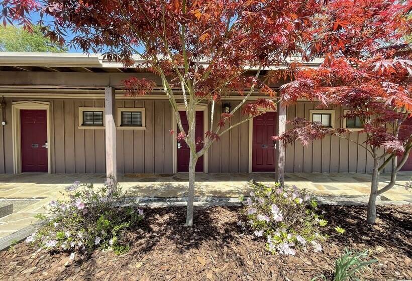 Mountain Harbor Queen Guest Room On Lake Ouachita By Redawning