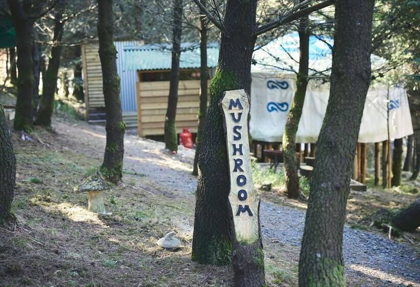 Mushroom Yurt Set In 4 Acres Of Woodland And Lakes