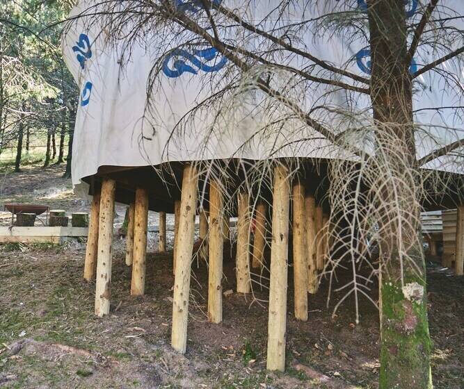 Mushroom Yurt Set In 4 Acres Of Woodland And Lakes