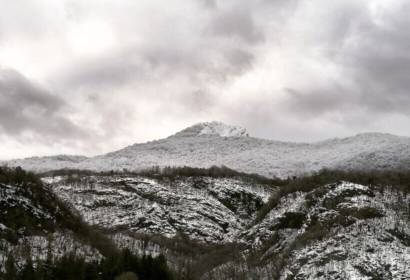 Narciso B&b Valbrona
