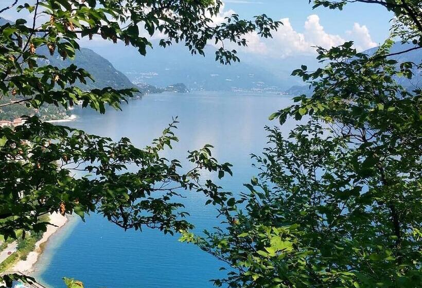 Narciso B&b Valbrona