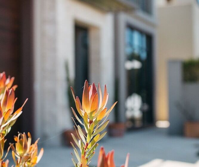 پانسیون Banksia By The Bay