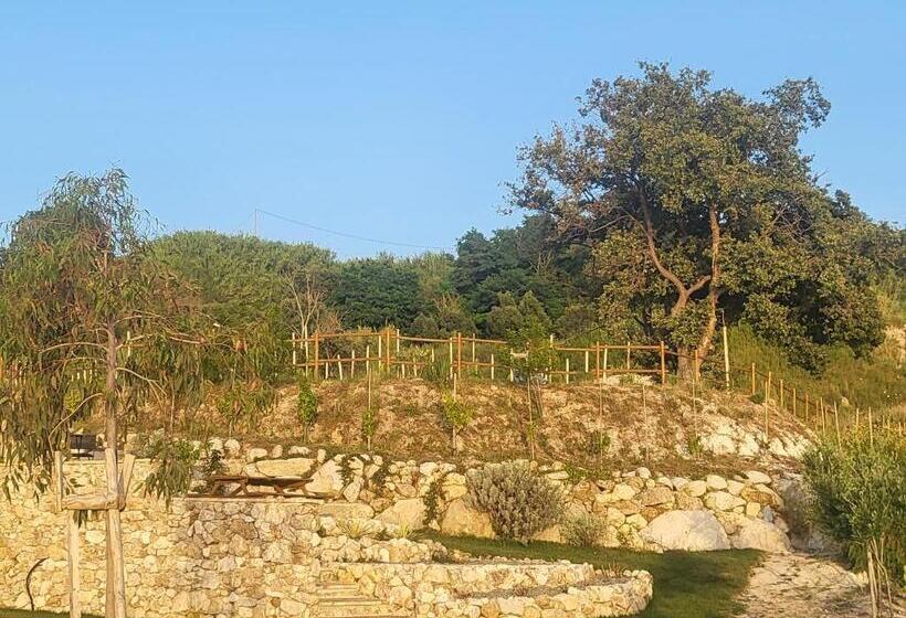 ペンション Casa Natura 40