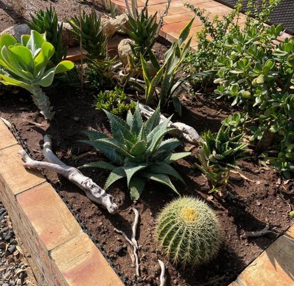 ペンション Casa Natura 40