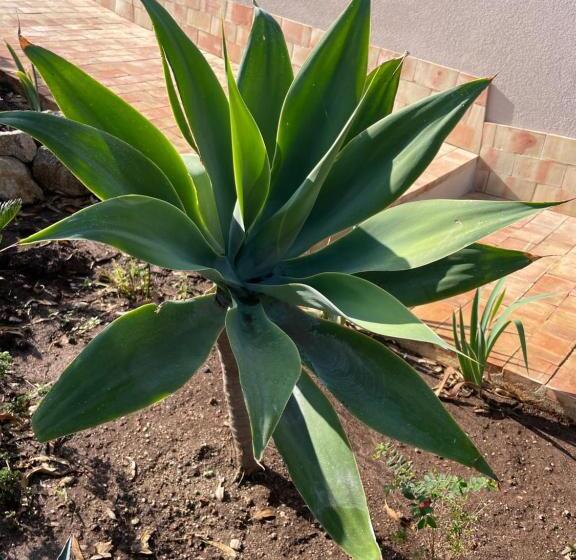 ペンション Casa Natura 40