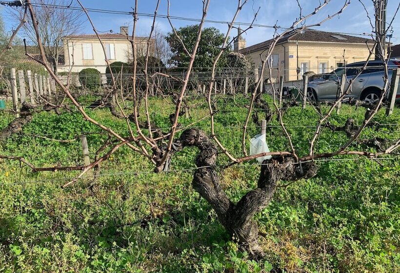 펜션 Château Papounan