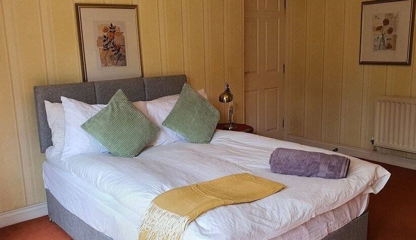 膳宿费 Luxury King House