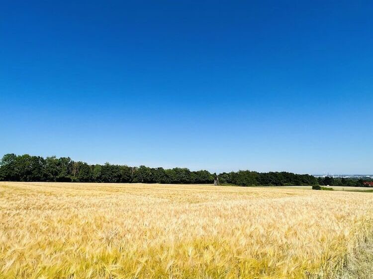 膳宿费 The Beverly Hills Of Frankfurt