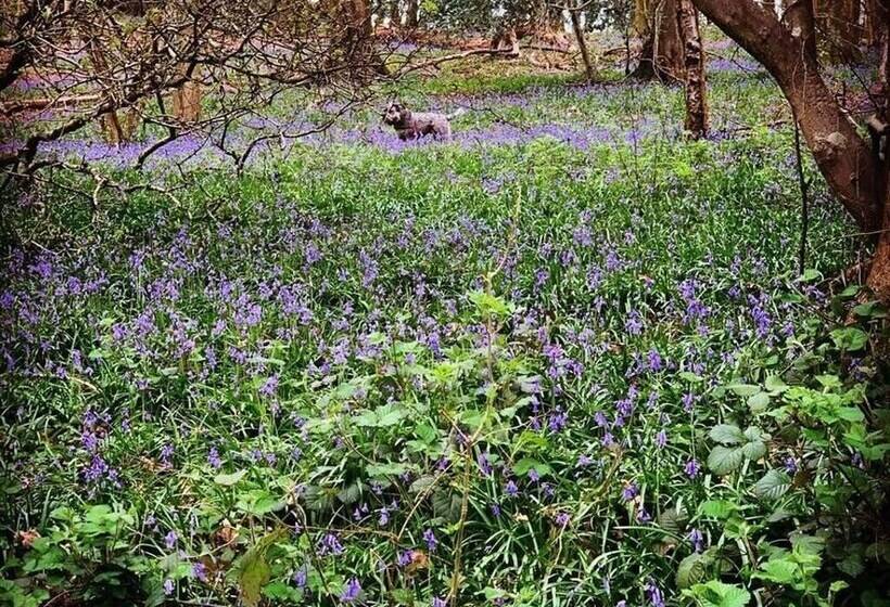 Резиденция Beautiful 4 Bed House In Monmouth