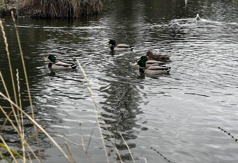 דירת נופש Charming 4 Bed House In Cheltenham, Free Parking