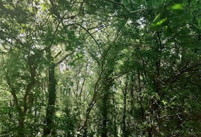 إقامة Marinaa Inn, Welcome Home