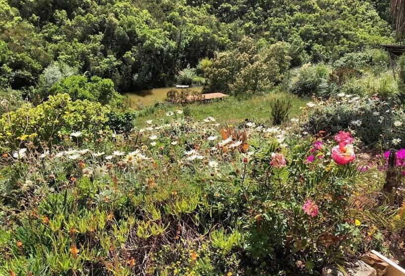 اقامتگاه Quiet And Peaceful Country House In Pure Nature