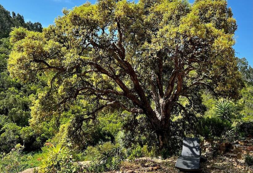 اقامتگاه Quiet And Peaceful Country House In Pure Nature