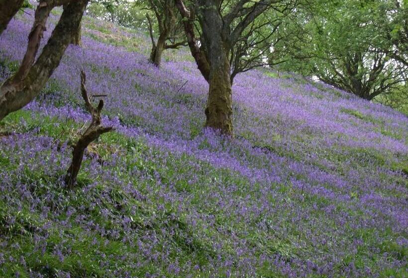 דירת נופש Tranquil 3 Bed Cottage Near Lake Vyrnwy