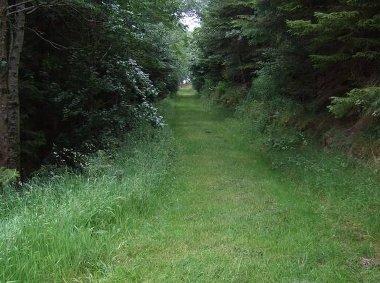 דירת נופש Tranquil 3 Bed Cottage Near Lake Vyrnwy