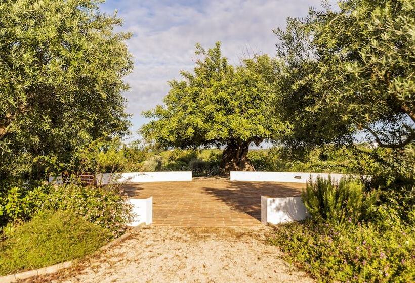 リゾートホテル Quinta Da Baleeira