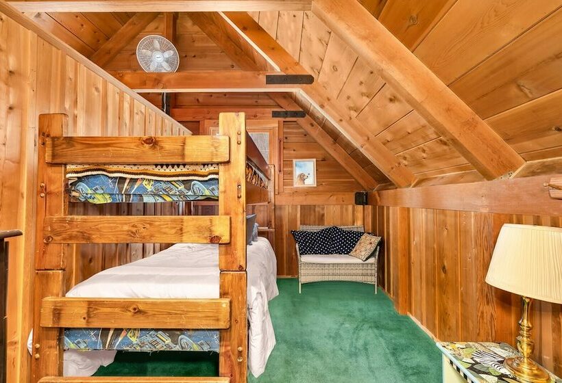 Rustic Knotty Pine Minutes To The Water!