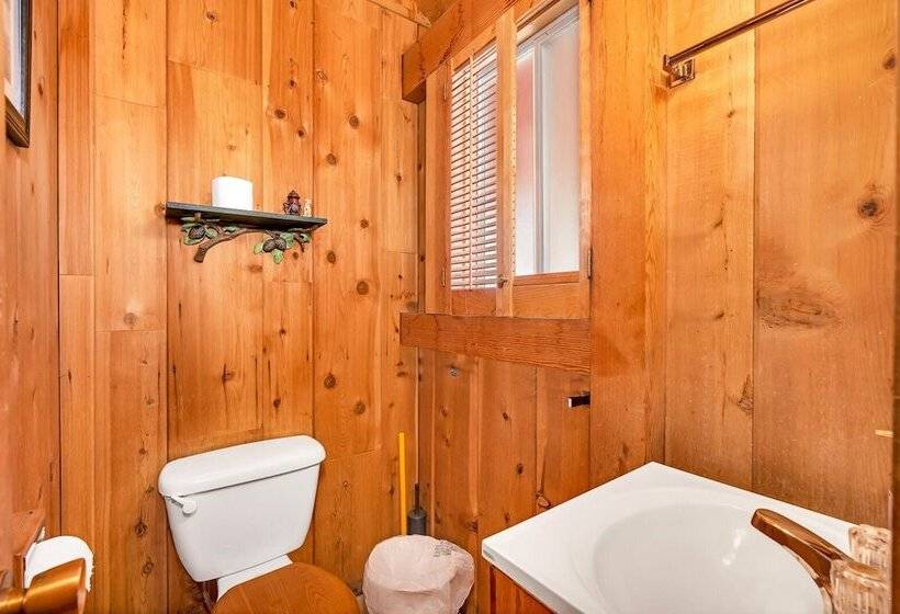 Rustic Knotty Pine Minutes To The Water!