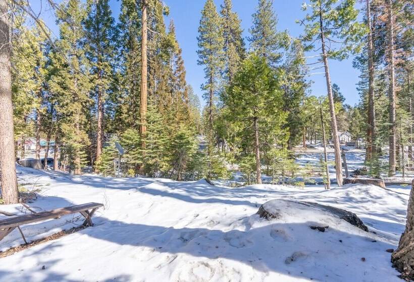 Rustic Knotty Pine Minutes To The Water!