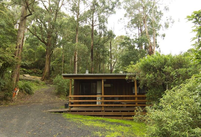 Tarra Valley Retreat