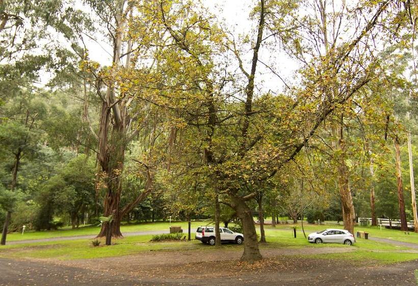 Tarra Valley Retreat