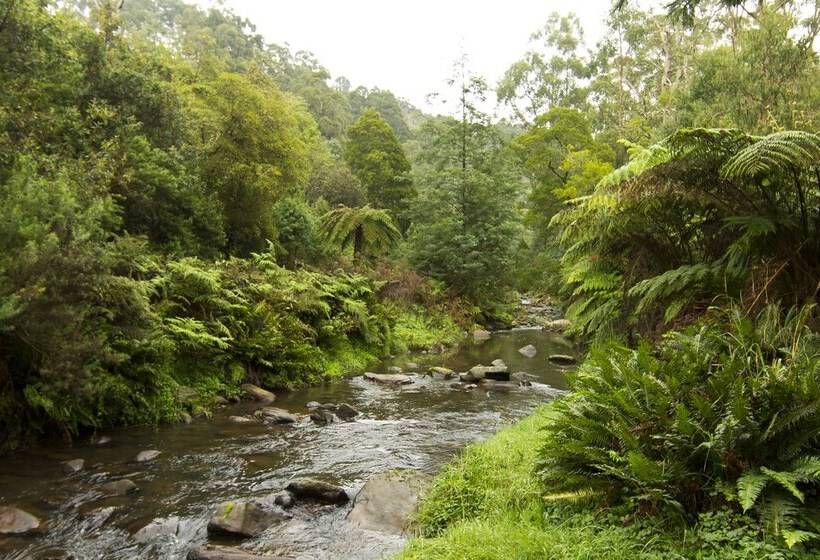 Tarra Valley Retreat