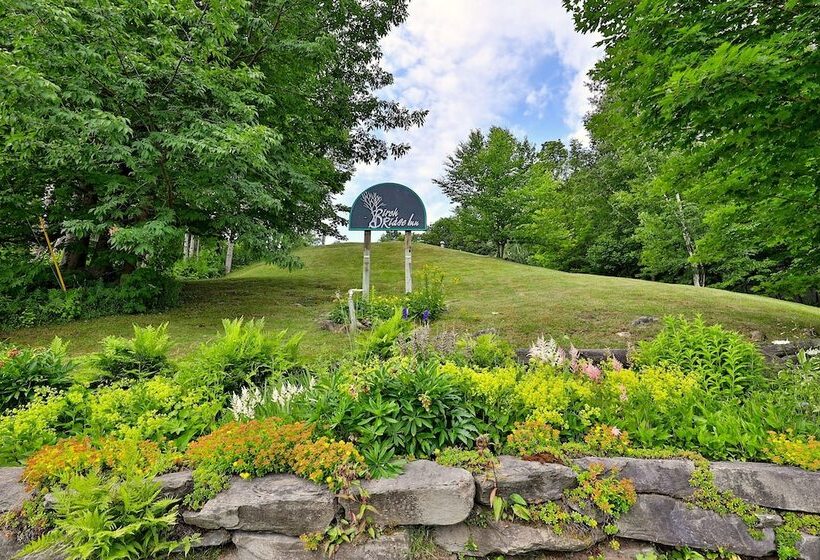 The Birch Ridge: 3 Guest Rooms W/ Ensuite Baths, Fireplaces, Jacuzzi Tubs, Hot Tub & More! Block C 3