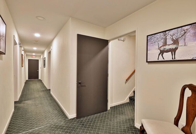 The Birch Ridge: 3 Guest Rooms W/ Ensuite Baths, Fireplaces, Jacuzzi Tubs, Hot Tub & More! Block C 3