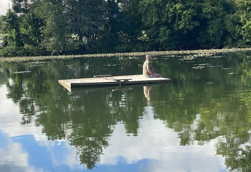 Treetop River Cabins On The Guadalupe River