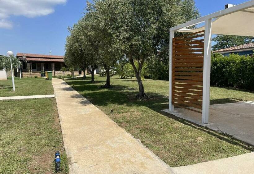 مبيت وإفطار Verter Home Resort