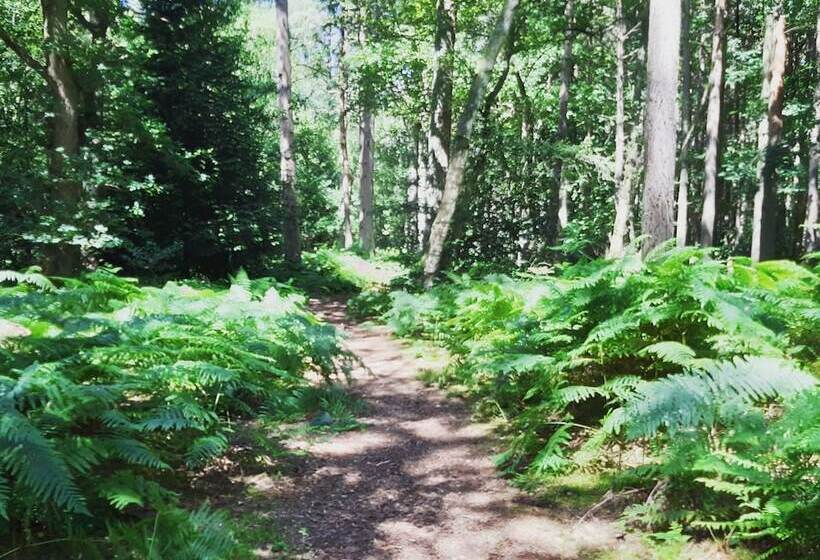 Beautiful 6 Bed Dog Friendly Cottage In Heacham