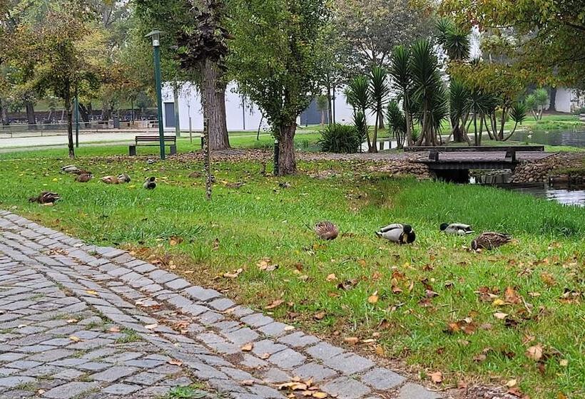 ベッドアンドブレックファースト Residencia Paris Marinha