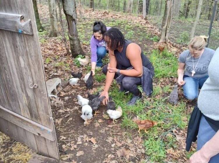 צימר Vintage Inn At Veritas Estate