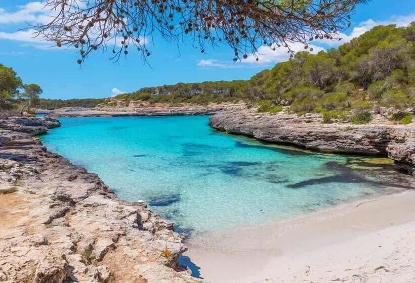 Bella Maria Apartments & Pool Club