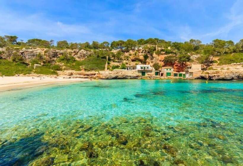 Bella Maria Apartments & Pool Club