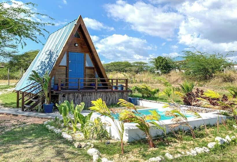 Cashaw Cabin Private Retreat With A Pool