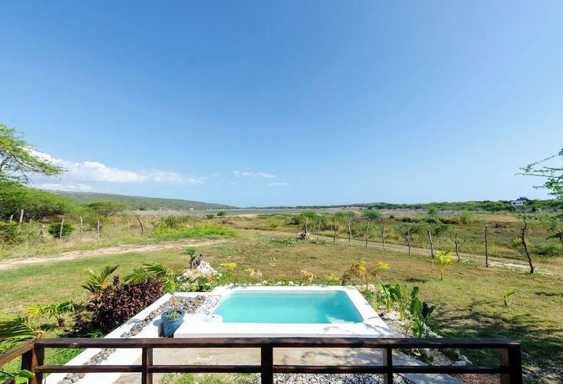 Cashaw Cabin Private Retreat With A Pool