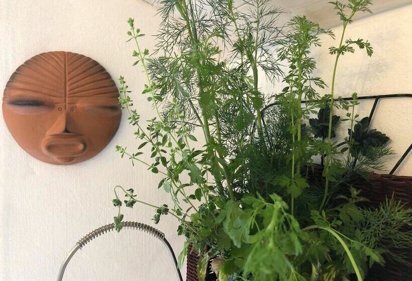 Cosy Cottage Near Hartland Village