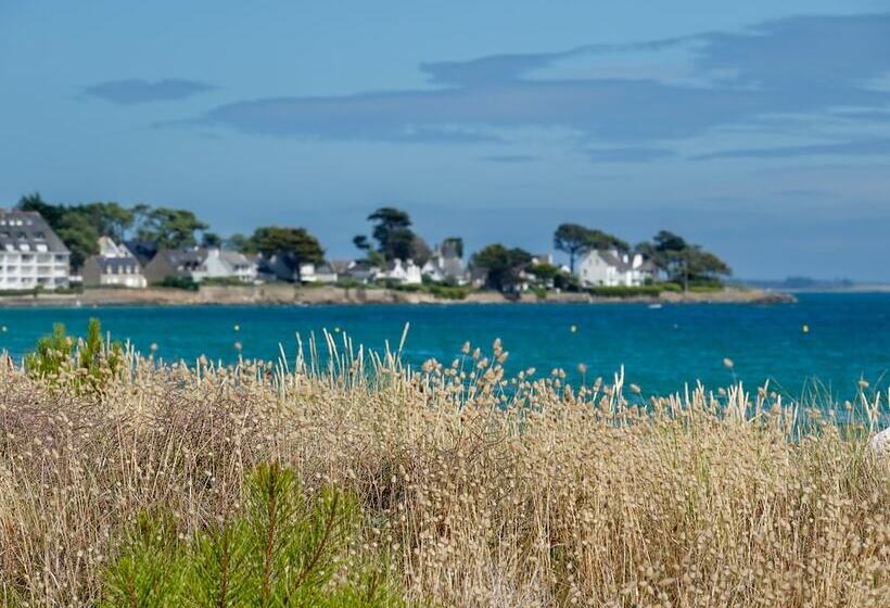 酒店 Camping Le Dolmen