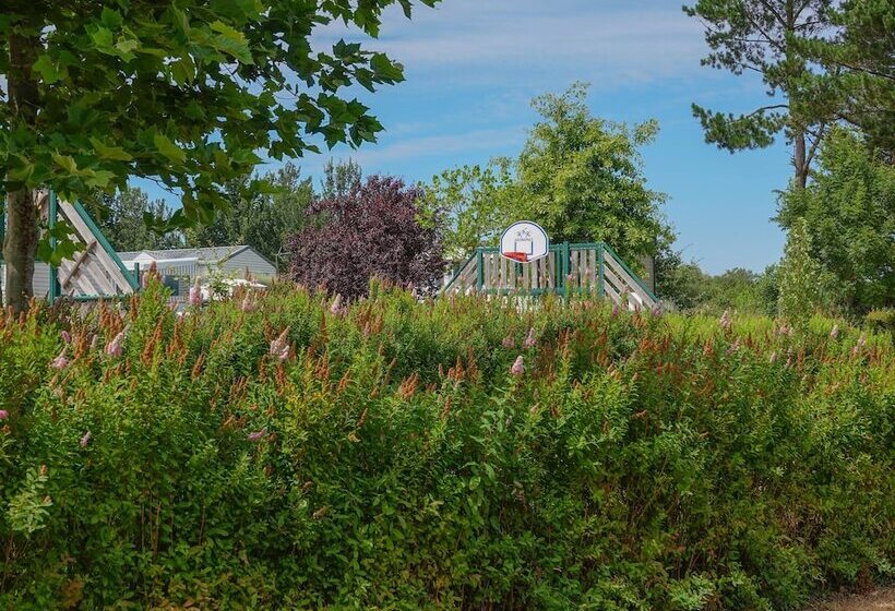 酒店 Camping Le Dolmen