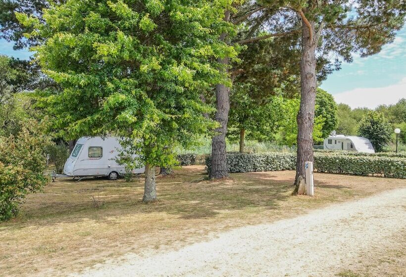 酒店 Camping Le Dolmen