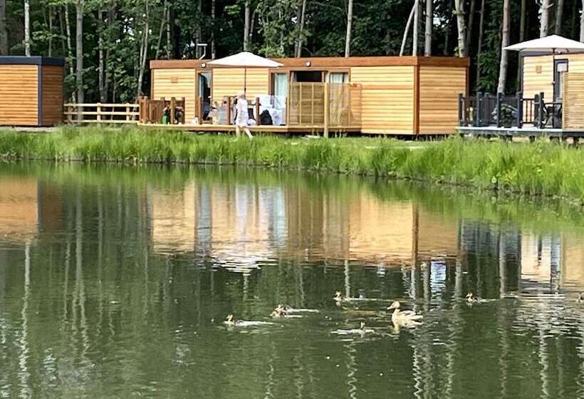 فندق Cedar Boutique Lodge Dog, Fishing And Spa Access