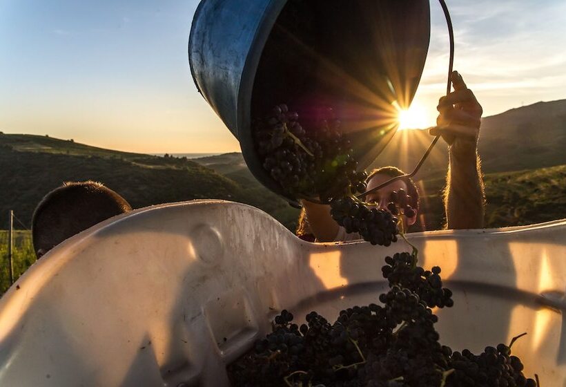 Villa Camille Hotel & Spa