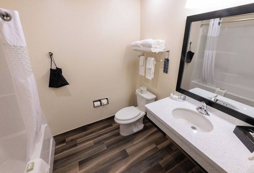 Отель Cobblestone Inn & Suites Sheldon