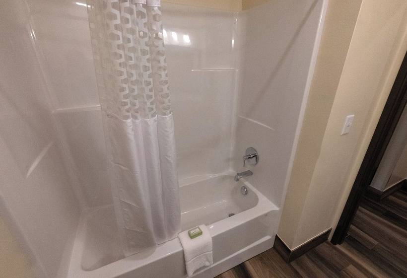 Отель Cobblestone Inn & Suites Sheldon