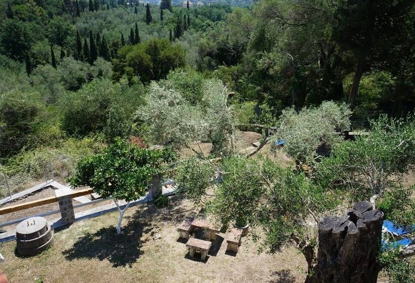 בית מלון כפרי Corfu Green Paradise   Luxury Villa In Mistralatika, Kato Korakiana