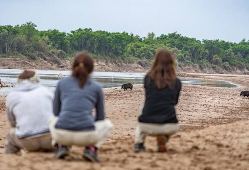 酒店 Glamping Los Palmares