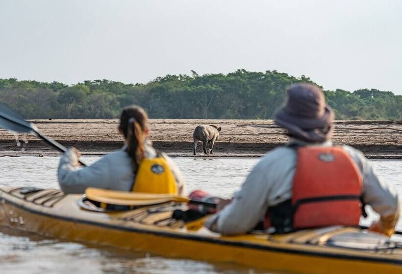 Отель Glamping Los Palmares