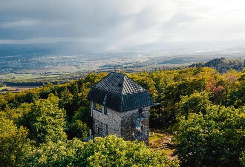 Отель Hallgarter Zange