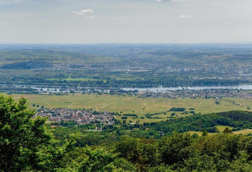 ホテル Hallgarter Zange